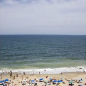 Meet your Posher, Athena